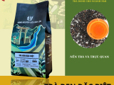 CÔNG DỤNG CỦA TRÀ ĐEN F&B TEA