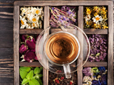Gợi ý top 5 loại trà giải độc gan tốt nhất được yêu thích hiện nay - F&B Tea