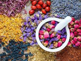 F&B Tea Mách bạn 7 loại trà hoa ngon mà bạn nên thử