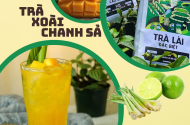F&B TEA CHIA SẺ CÔNG THỨC TRÀ XOÀI CHANH SẢ