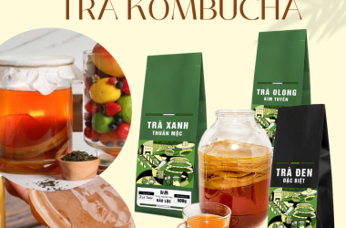 KINH DOANH VỚI TRÀ KOMBUCHA VỪA HOT HIT VỪA MANG NHIỀU LỢI ÍCH CHO SỨC KHỎE