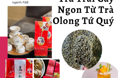 TRÀ TRÁI CÂY NGON TỪ TRÀ OLONG TỨ QUÝ