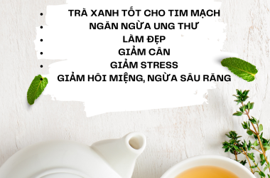 F&B TEA HÂN HẠNH GIỚI THIỆU TRÀ XANH VÀ CÔNG DỤNG CỦA TRÀ XANH 