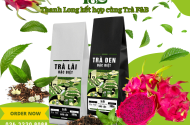 THANH LONG ĐỎ VÀ PHA CHẾ THỨC UỐNG CÙNG F&B TEA
