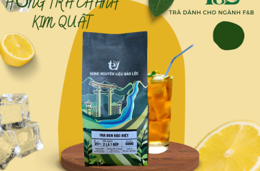 HỒNG TRÀ CHANH KIM QUẤT
