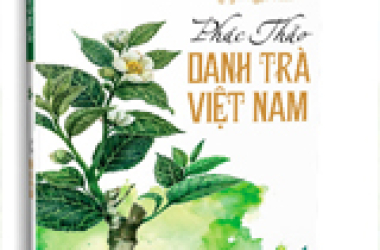 5 Tiêu Chuẩn Đánh Giá Phẩm Chất Trà Trong Cuốn Sách “Phác họa danh trà Việt Nam”