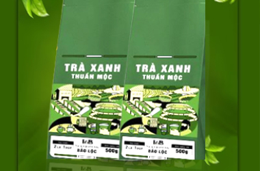 F&B Tea đố bạn biết vì sao pha trà xanh lại bị đắng