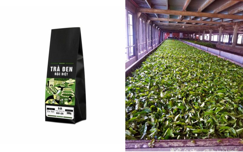 Trà F&B TEA được sản xuất với quy trình chuẩn